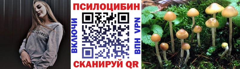 Галлюциногенные грибы Psilocybine cubensis  купить наркотики цена  MEGA сайт  Ясногорск 
