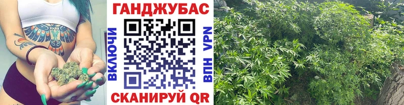 Канабис семена  Ясногорск 